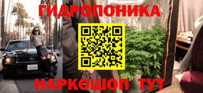 прущие крисы Северобайкальск