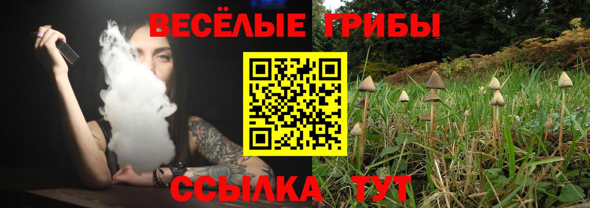 Псилоцибиновые грибы Magic Shrooms  где найти наркотики  Барнаул  Вход с VPN 